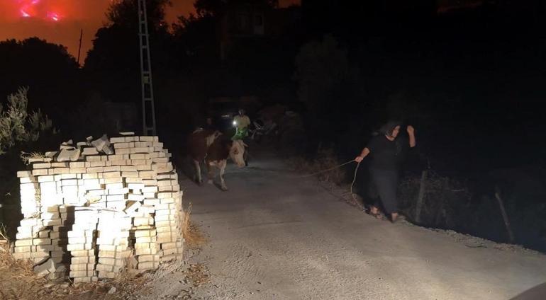 Antalyada orman yangını