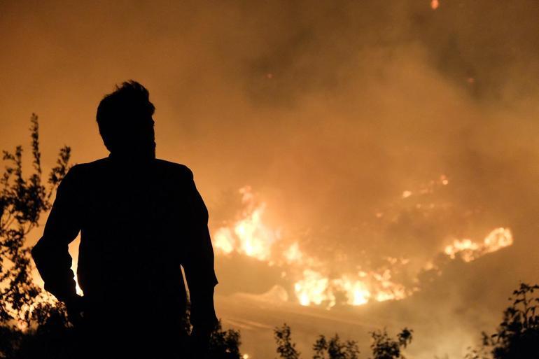 Antalyada orman yangını