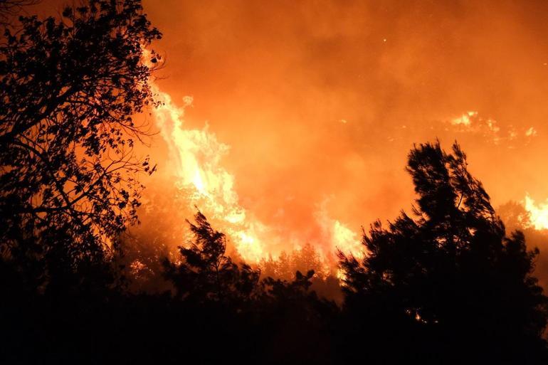 Antalyada orman yangını