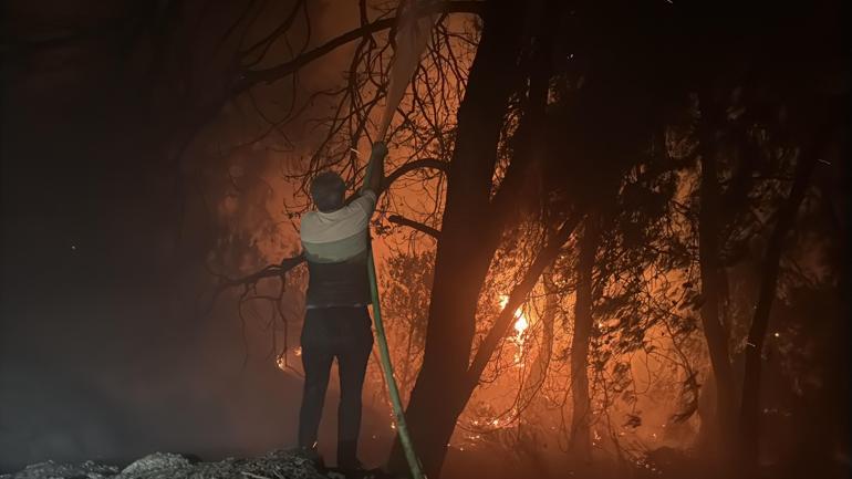 Muğlada orman yangını