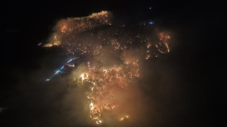 Muğlada orman yangını