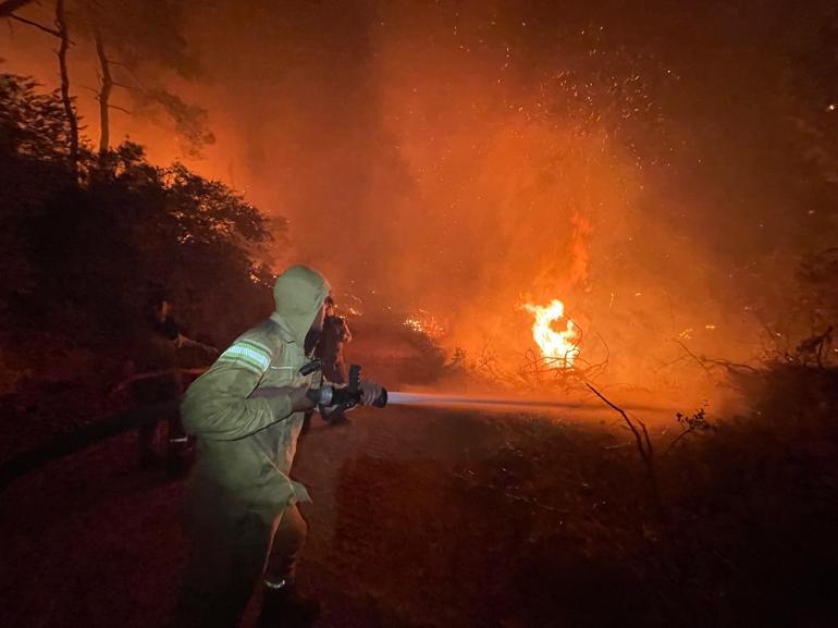 Muğlada orman yangını