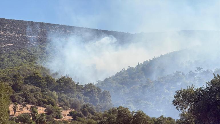 Muğla Milasdaki yangın Aydına sıçradı