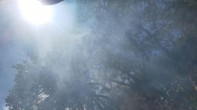 Diyarbakırda 3 farklı noktadaki yangın kontrol altına alındı