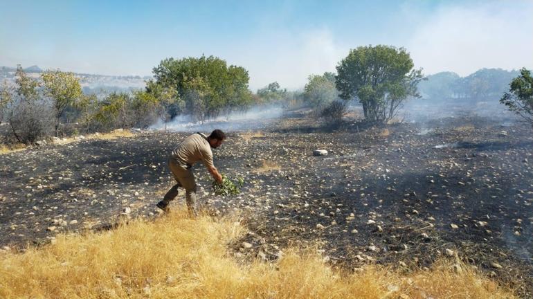 Diyarbakırda 3 farklı noktadaki yangın kontrol altına alındı