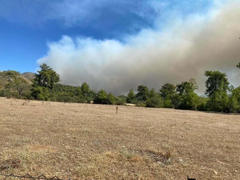 Muğla Köyceğizdeki orman yangınında 108 ev boşaltıldı, 357 kişi tahliye edildi