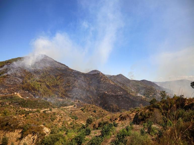 Alanyadaki orman yangınında 2nci gün