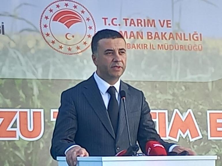 Kuraklığın vurduğu Diyarbakır karpuzunda birincilik 39 kiloda kaldı