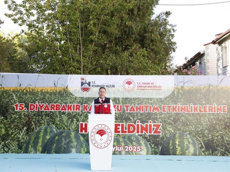 Kuraklığın vurduğu Diyarbakır karpuzunda birincilik 39 kiloda kaldı