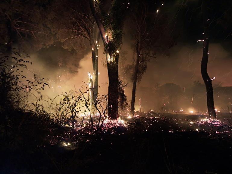 Antalya’da orman yangını kontrol altında