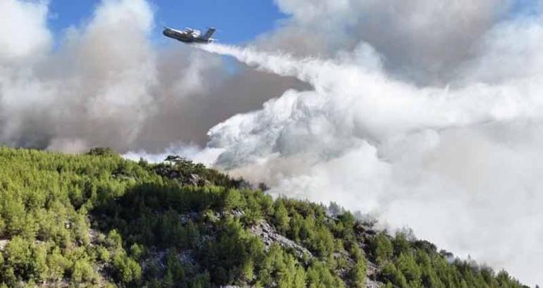 Muğla Köyceğizdeki orman yangınında 2nci gün