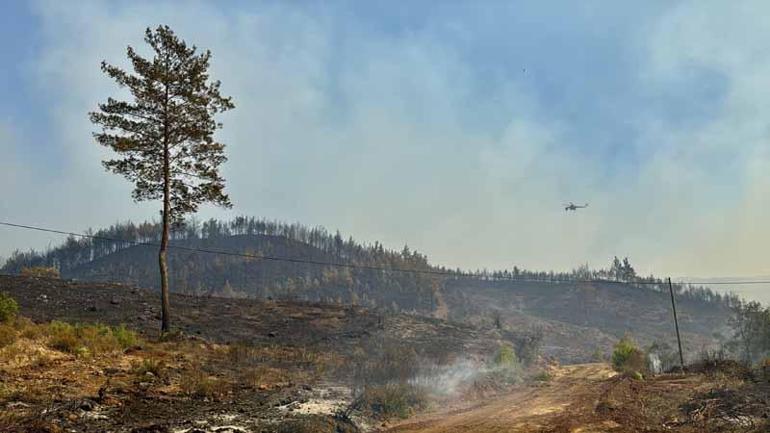 Muğla Köyceğizdeki orman yangınında 2nci gün