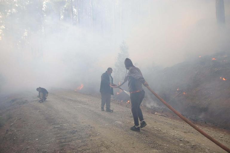Muğla Köyceğizdeki orman yangınında 2nci gün