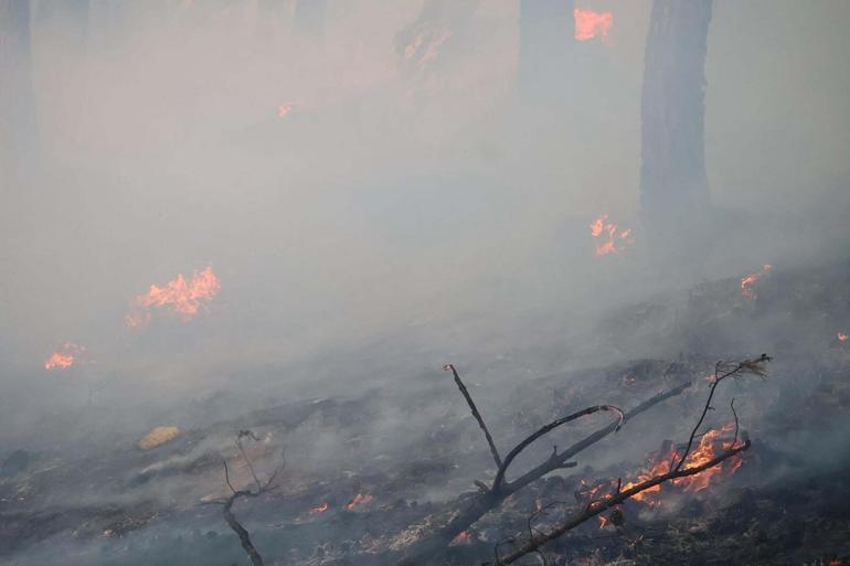 Muğla Köyceğizdeki orman yangınında 2nci gün