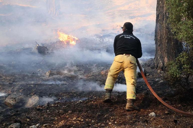 Muğla Köyceğizdeki orman yangınında 2nci gün
