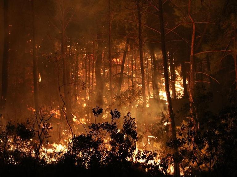 Alanyadaki orman yangınında 3üncü gün
