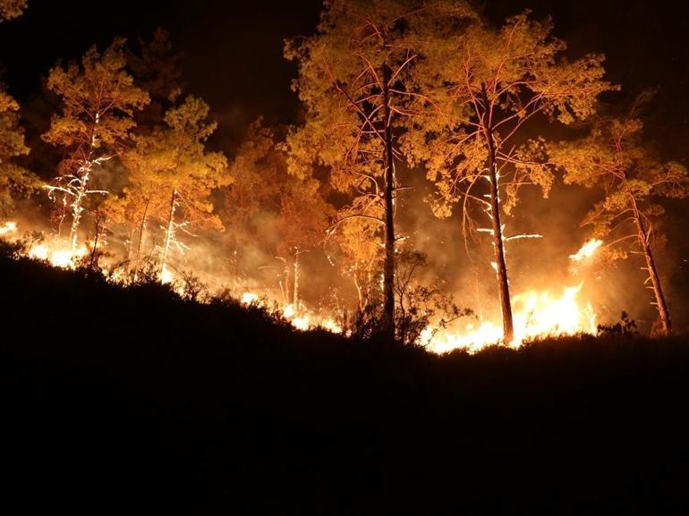 Alanyadaki orman yangınında 3üncü gün