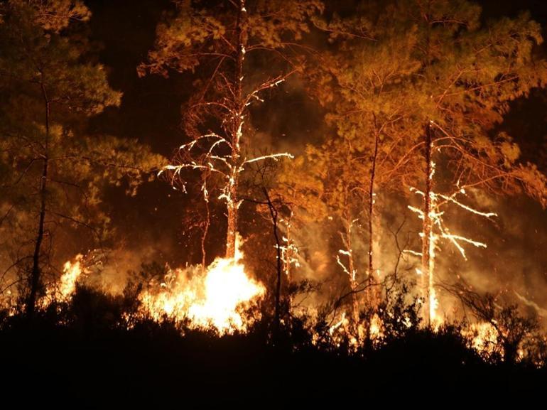Alanyadaki orman yangınında 3üncü gün