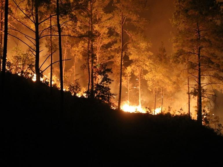 Alanyadaki orman yangınında 3üncü gün