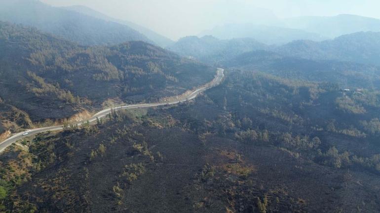 Muğla Köyceğizdeki orman yangınında 2nci gün