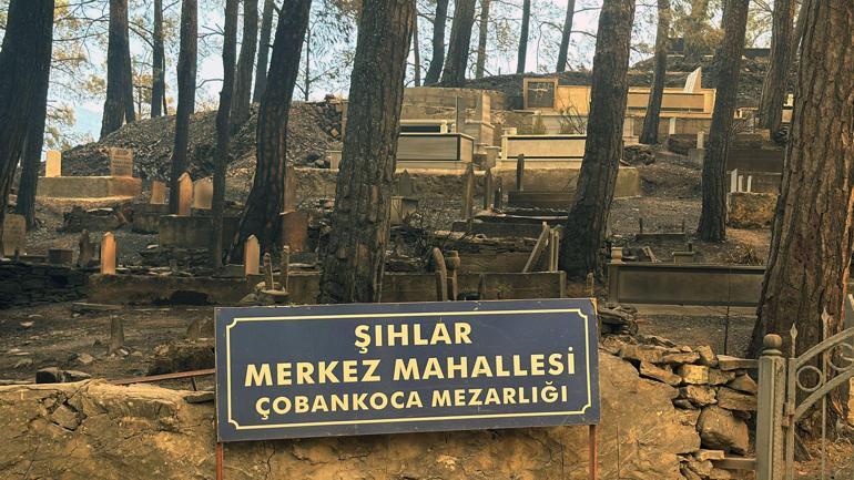 Alanyadaki orman yangınında 3üncü gün