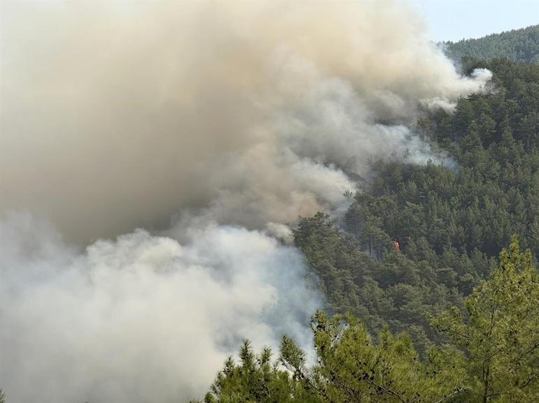 Alanyadaki orman yangınında 3üncü gün