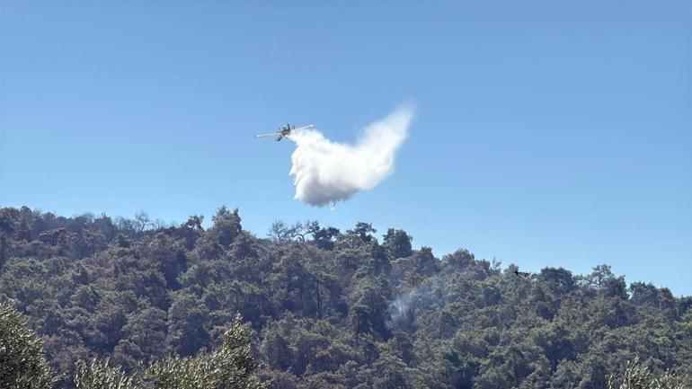 Muğla Köyceğizdeki orman yangınında 2nci gün
