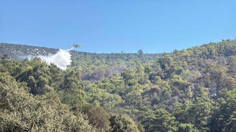 Muğla Köyceğizdeki orman yangınında 2nci gün