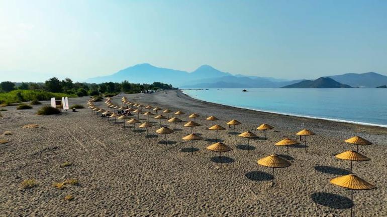 Bakan Kurum: Bu yaz 8 plajımızı halkımızın ücretsiz kullanımına açtık