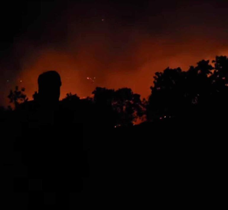 Diyarbakırdaki örtü yangını 2nci gününde kontrol altında