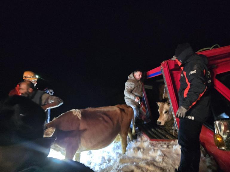 Yaylada 6 aracın üzerine çığ düştü; mahsur kalan 15 kişi kurtarıldı