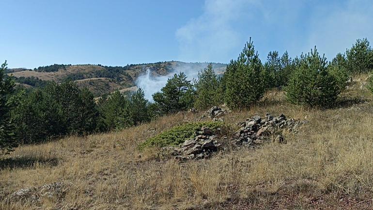 Kastamonuda orman yangınında 10 dönüm alan zarar gördü