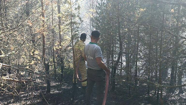Kastamonuda orman yangınında 10 dönüm alan zarar gördü
