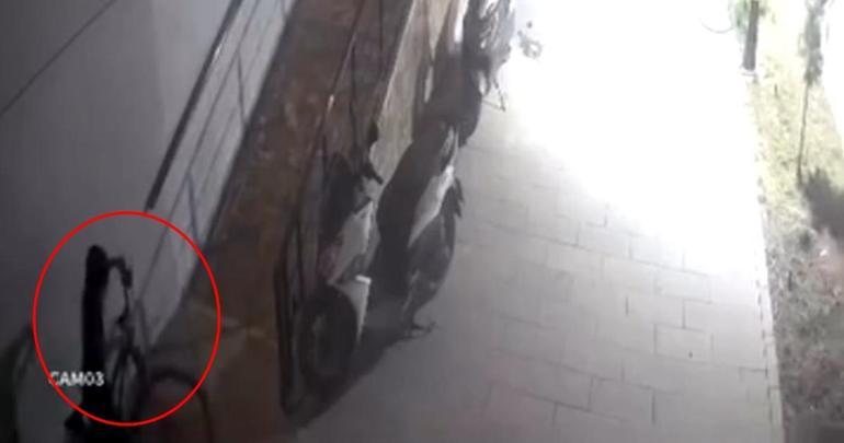 Çocukların bisiklet hırsızlığı kamerada