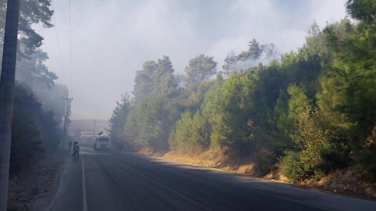 Antalyada orman yangını kontrol altına alındı, 10 hektar alan zarar gördü