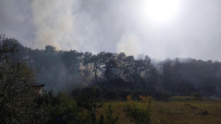 Antalyada orman yangını kontrol altına alındı, 10 hektar alan zarar gördü