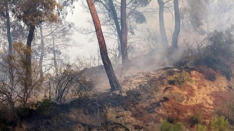 Antalyada orman yangını kontrol altına alındı, 10 hektar alan zarar gördü