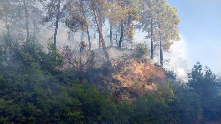 Antalyada orman yangını kontrol altına alındı, 10 hektar alan zarar gördü