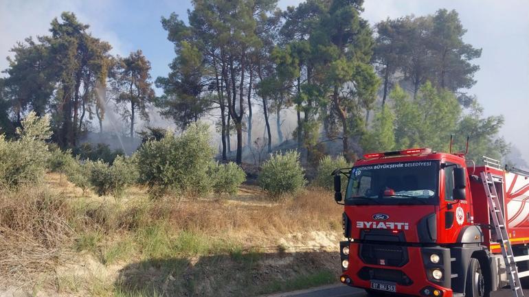 Antalyada orman yangını kontrol altına alındı, 10 hektar alan zarar gördü