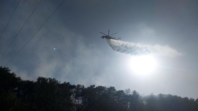 Antalyada orman yangını kontrol altına alındı, 10 hektar alan zarar gördü