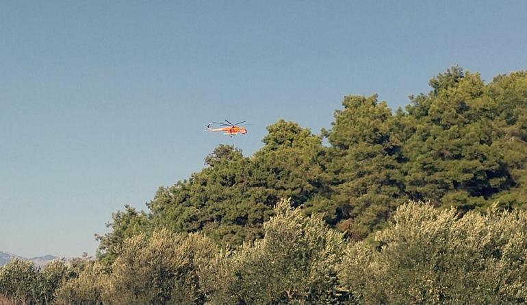 Antalyada orman yangını kontrol altına alındı, 10 hektar alan zarar gördü