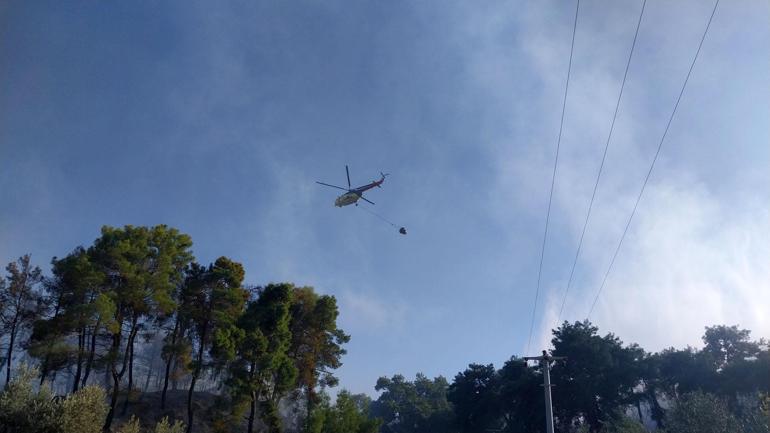 Antalyada orman yangını kontrol altına alındı, 10 hektar alan zarar gördü
