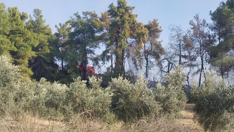 Antalyada orman yangını kontrol altına alındı, 10 hektar alan zarar gördü