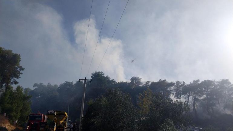 Antalyada orman yangını kontrol altına alındı, 10 hektar alan zarar gördü