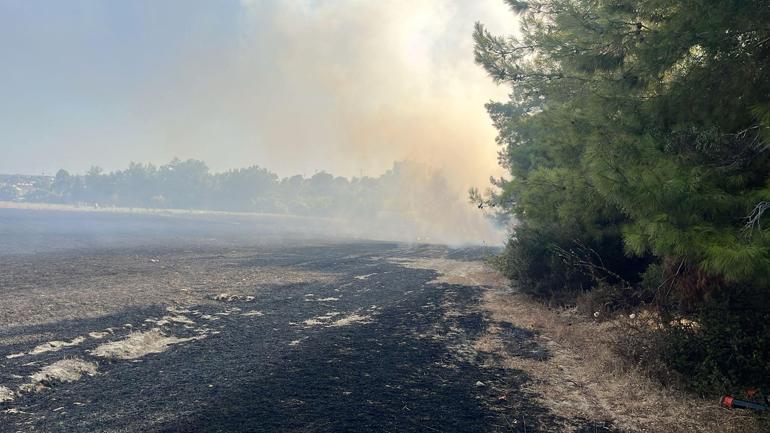 Antalyada orman yangını kontrol altına alındı, 10 hektar alan zarar gördü