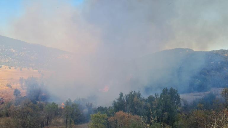 Burdurda orman yangını