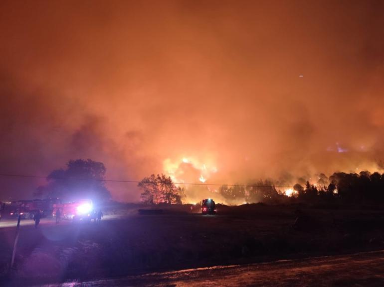 Bursada çıkan orman yangını kısmen kontrol altına alındı