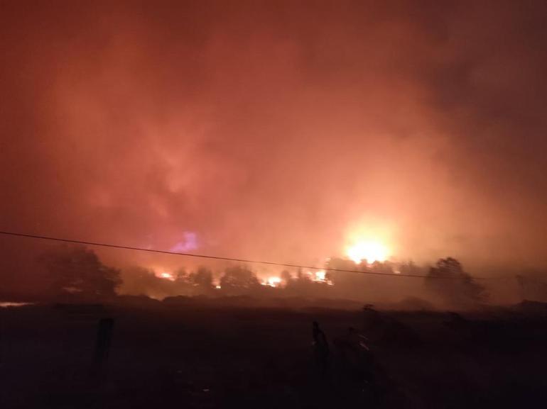 Bursada orman yangını; 14 saatte söndürüldü