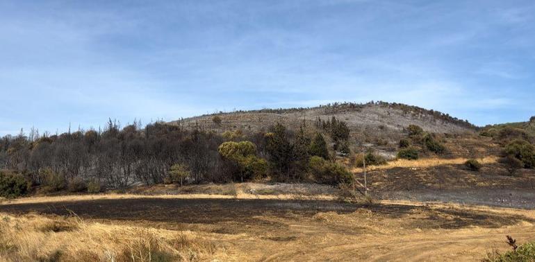 Bursada orman yangını; 14 saatte söndürüldü