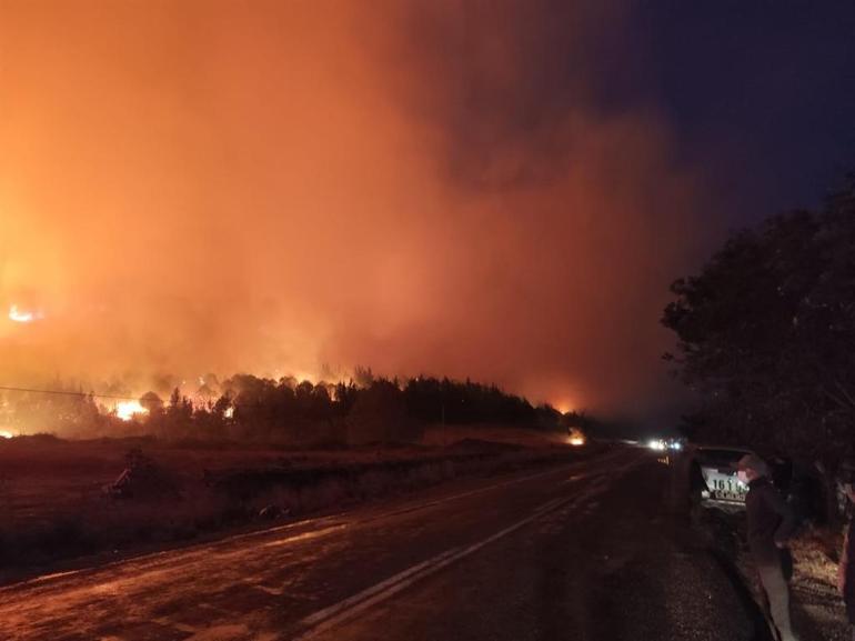 Bursada orman yangını; 14 saatte söndürüldü